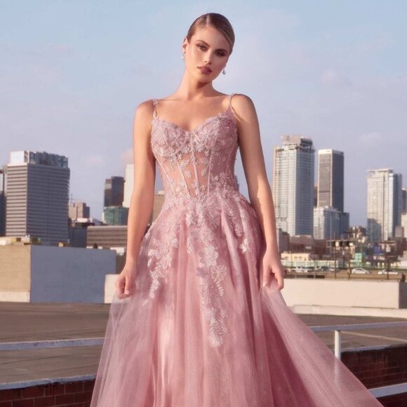 New Red Carpet Long A-Line Tulle Gown w/ Sequins & Floral Embroidery CDS533